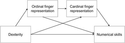 The Implicit Contribution of Fine Motor Skills to Mathematical Insight in Early Childhood